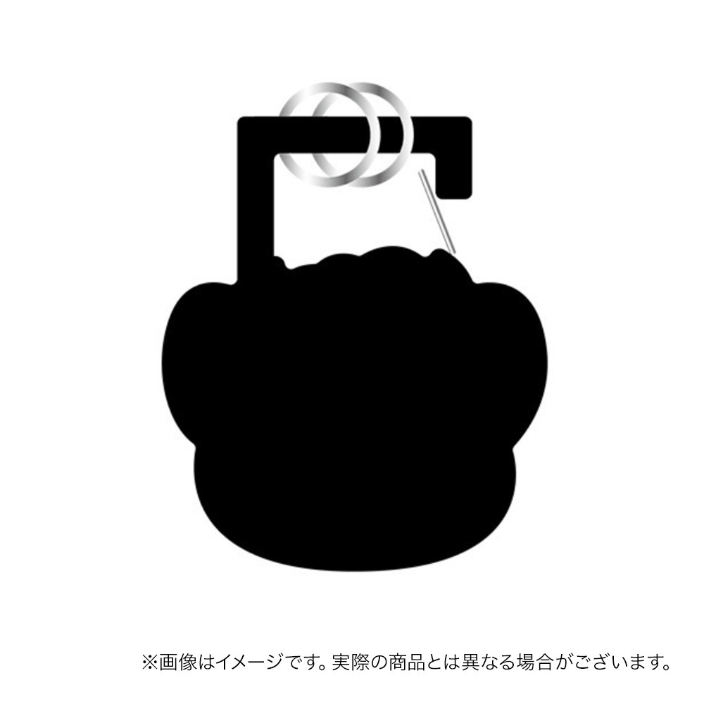 サンディーアセチカラビナ 詳細画像 ‐ 2